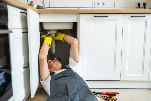 Best Affordable Plumbing Services  in Rockwood, TN