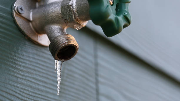 Best Water Leak Repair  in Rockwood, TN