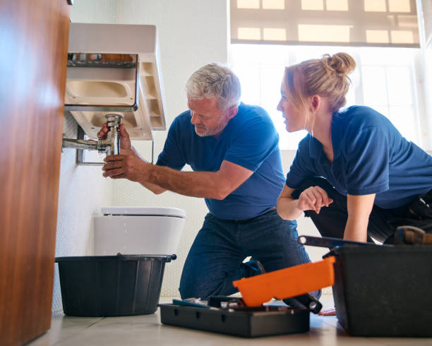 Best Local Plumber Services  in Rockwood, TN