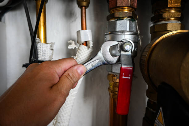 Best Emergency Plumber  in Rockwood, TN